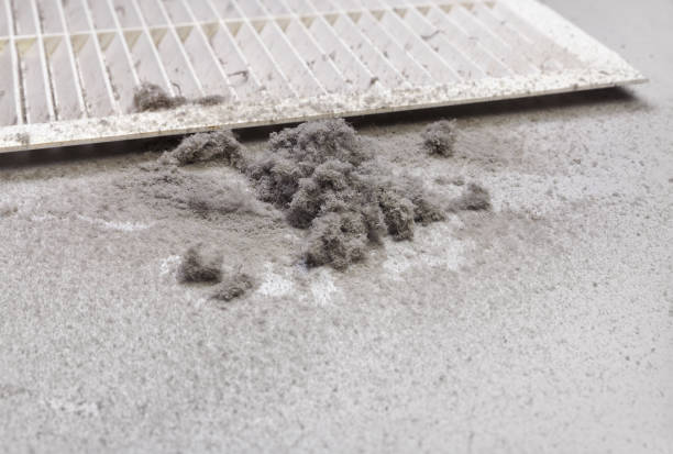 Best Air Duct Cleaning Cost  in Laughlin, NV
