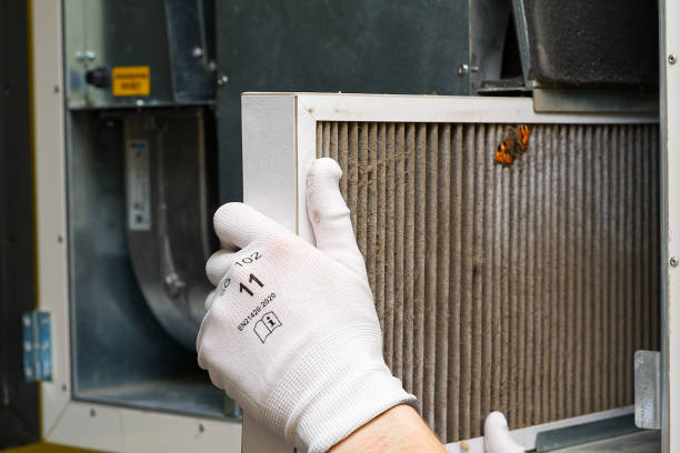 Best HVAC System Cleaning  in Laughlin, NV