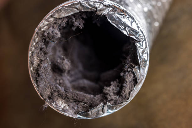 Best Air Duct Cleaning Near Me  in Laughlin, NV