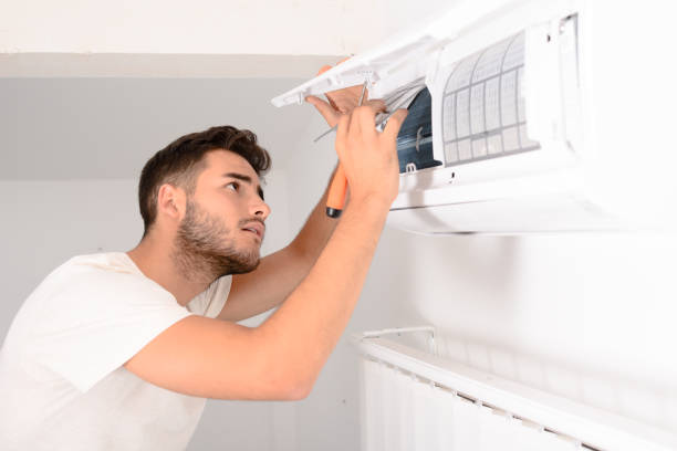 Best Air Duct Sanitizing Services  in Laughlin, NV